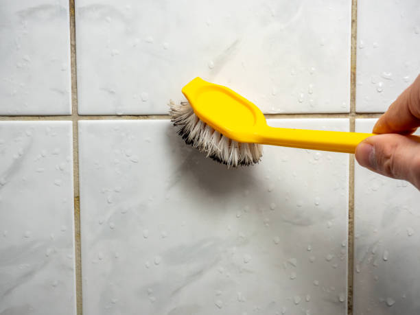 Mold Removal and Inspection in Cabin John, MD