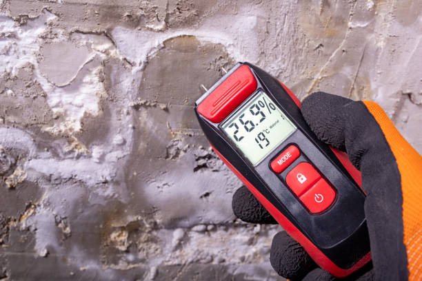 Best Toxic Mold Removal  in Cabin John, MD