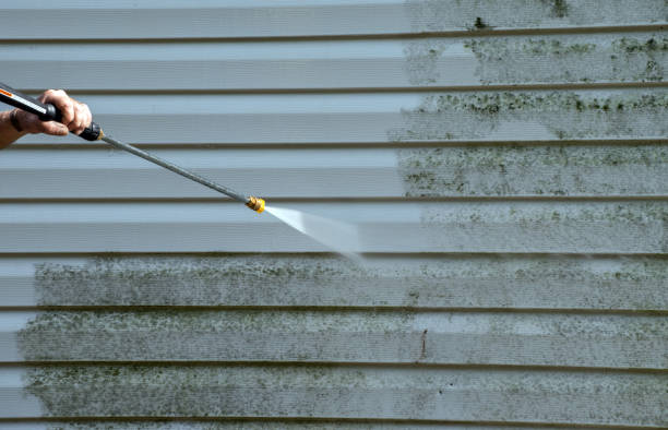 Best Local Mold Removal Service  in Cabin John, MD
