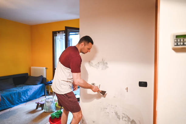 Certified Mold Removal in Cabin John, MD