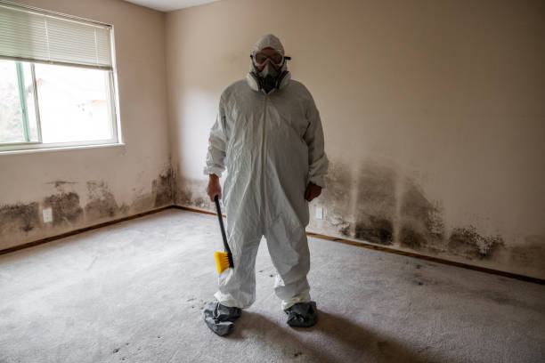 Crawl Space Mold Removal in Cabin John, MD
